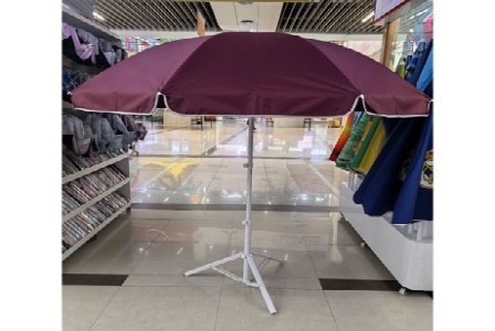 鼎沣教育培训机构形象图